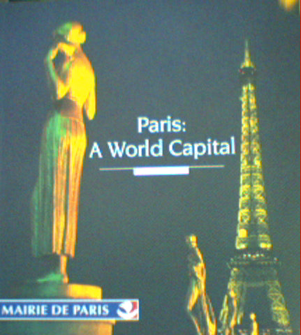 Paris:  A World Capital by Patrice Higonnet
